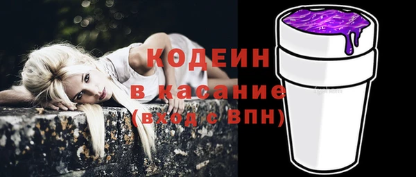 индика Нефтегорск
