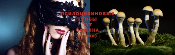 прущий лед Нефтекумск