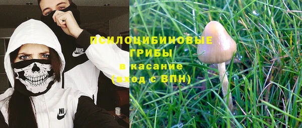 синтетический гашиш Новодвинск
