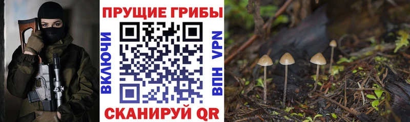 Псилоцибиновые грибы ЛСД  Злынка 